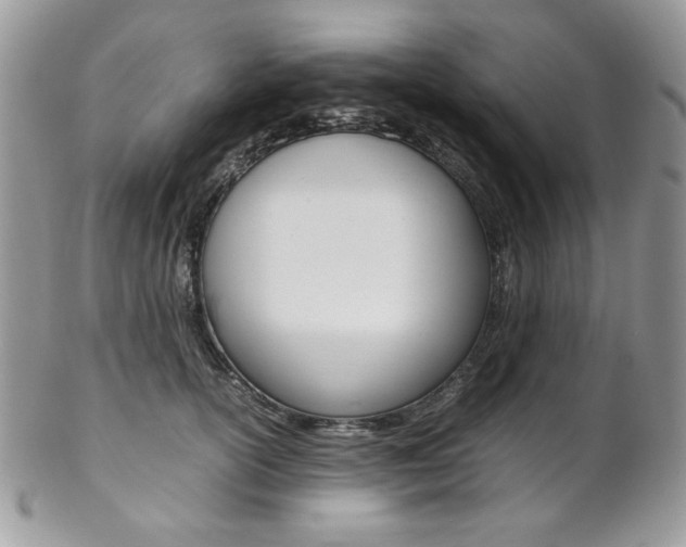 X0000102840754200808181024