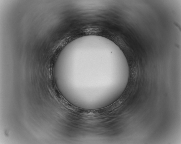 X0000102840755200808181024