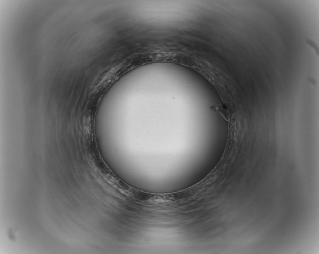 X0000102840756200808181024