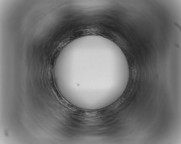 X0000102840757200808181024