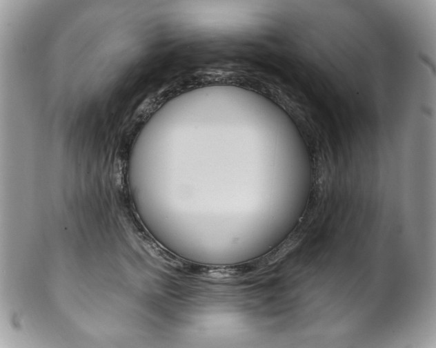 X0000102840758200808181024