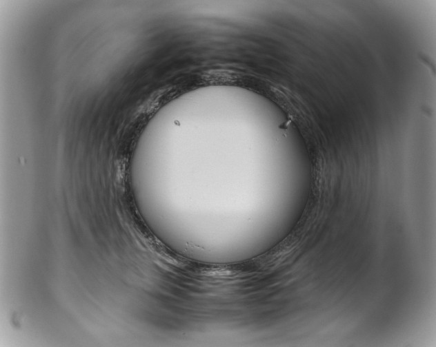 X0000102840759200808181024