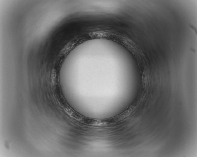 X0000102840760200808181024