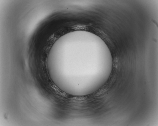X0000102840763200808181025