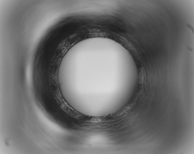 X0000102840764200808181025