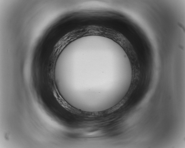 X0000102840765200808181025