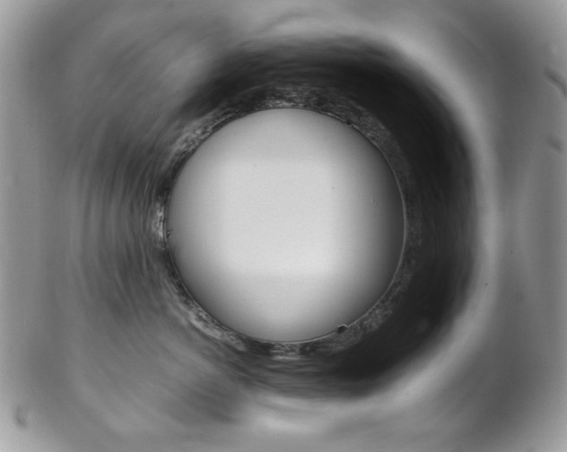 X0000102840766200808181025