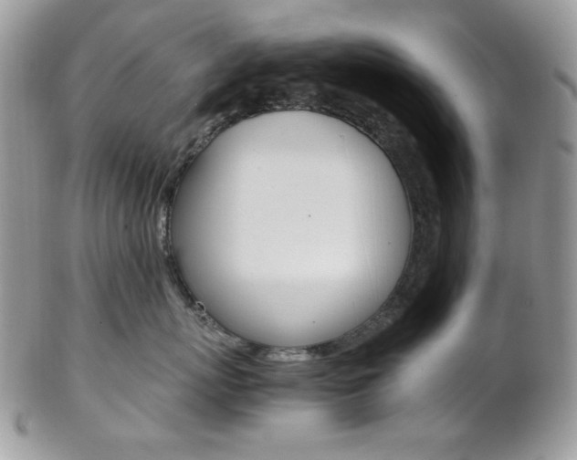 X0000102840767200808181025