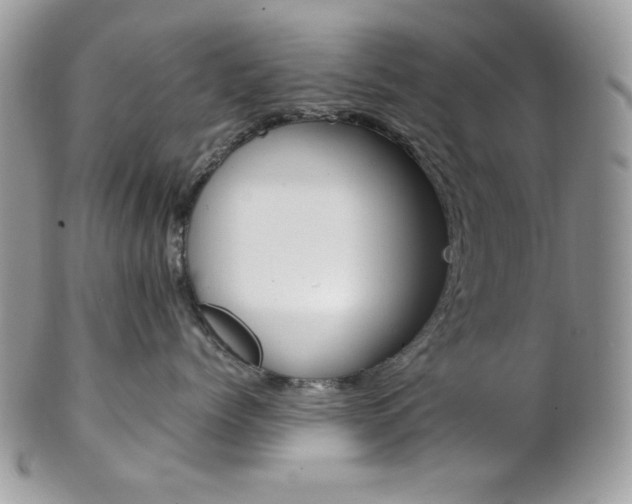 X0000102840768200808181025