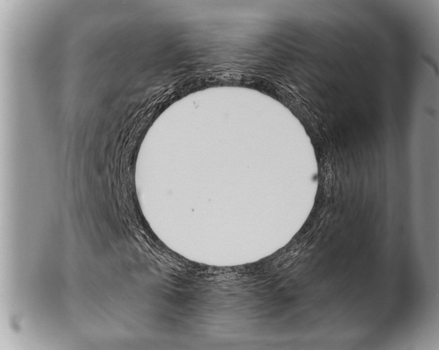 X0000102840769200808181024
