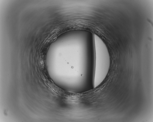 X0000102840771200808181024