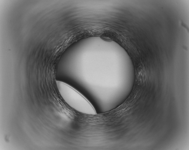 X0000102840772200808181024
