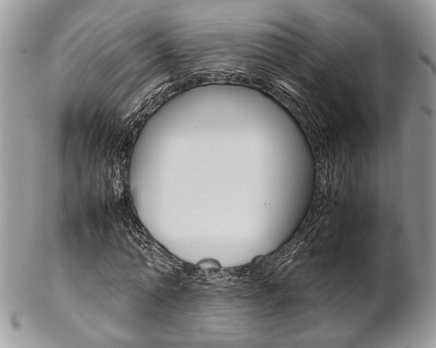 X0000102840774200808181024