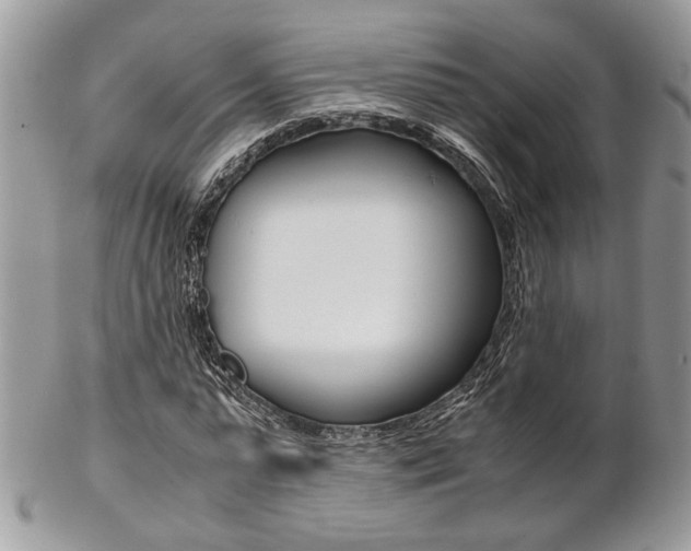 X0000102840775200808181024