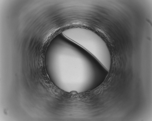 X0000102840776200808181024