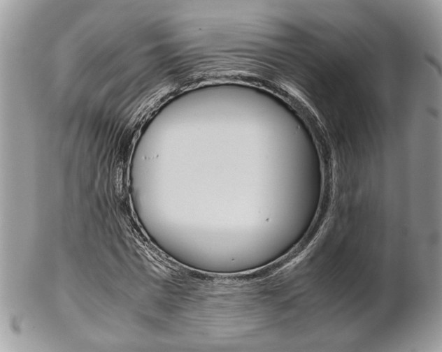 X0000102840777200808181024