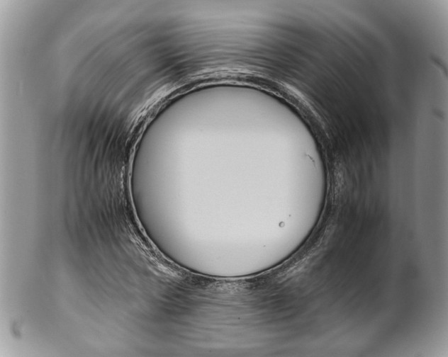 X0000102840778200808181024