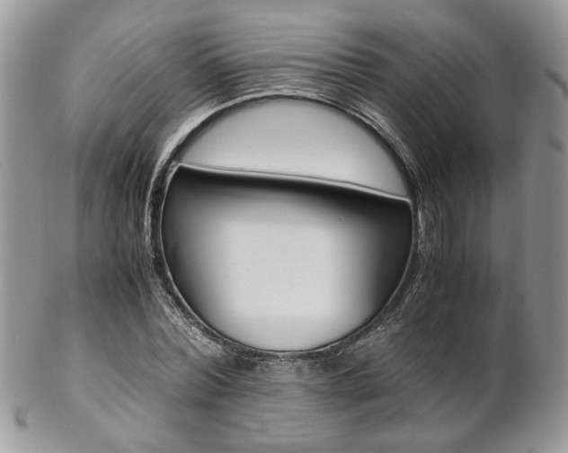 X0000102840780200808181024