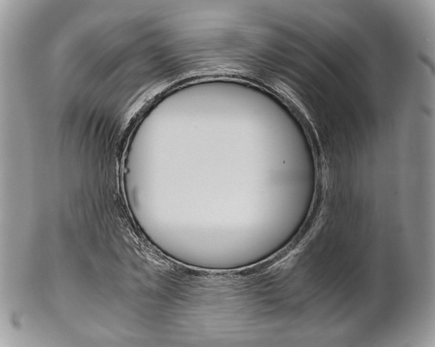 X0000102840781200808181024