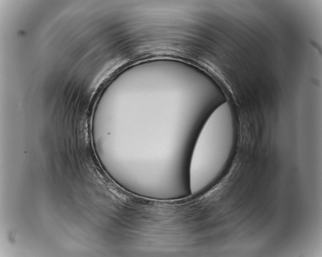 X0000102840782200808181024