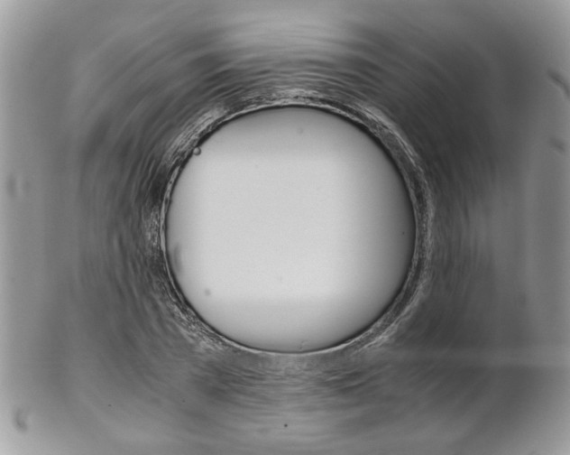 X0000102840785200808181024