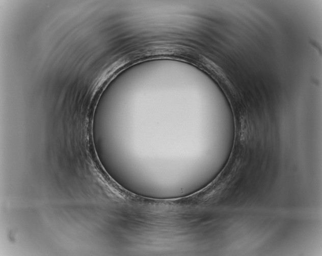 X0000102840786200808181024
