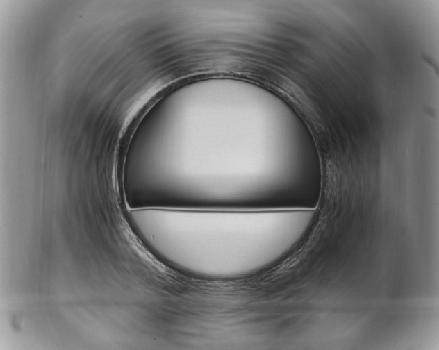 X0000102840788200808181024