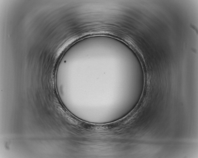 X0000102840789200808181024