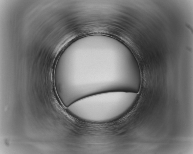 X0000102840790200808181024