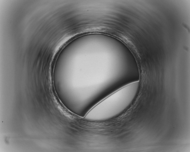 X0000102840792200808181024