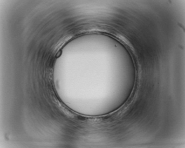 X0000102840793200808181024