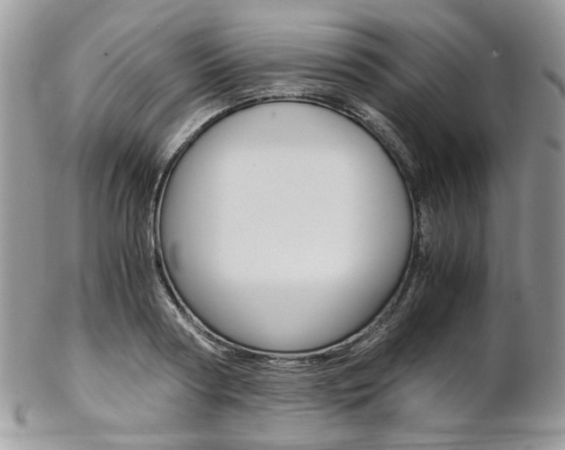 X0000102840794200808181024