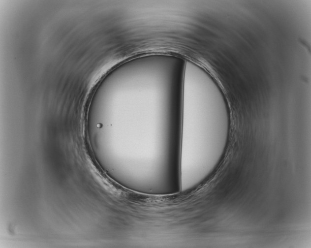 X0000102840795200808181024