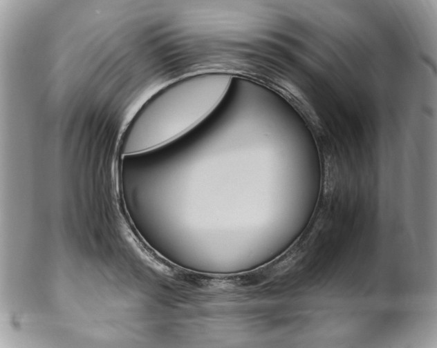 X0000102840796200808181024