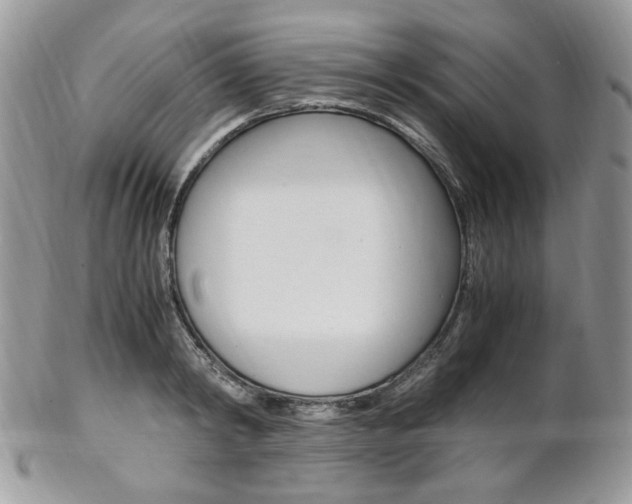 X0000102840798200808181024