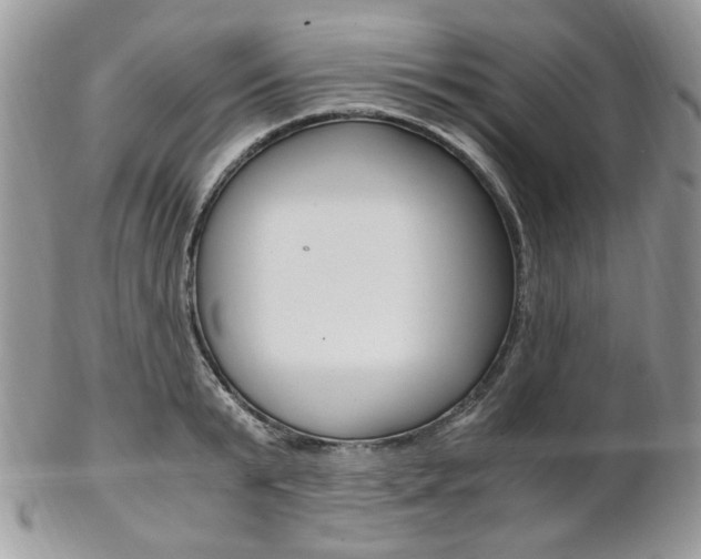 X0000102840799200808181024