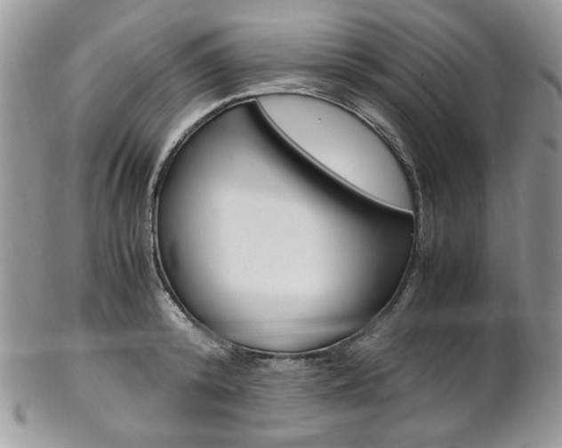 X0000102840800200808181024