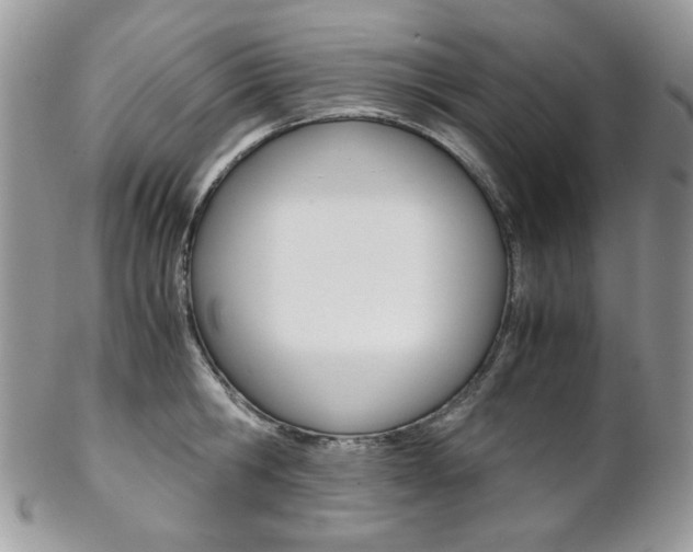 X0000102840806200808181023