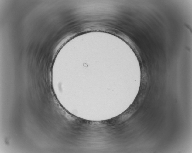 X0000102840807200808181023