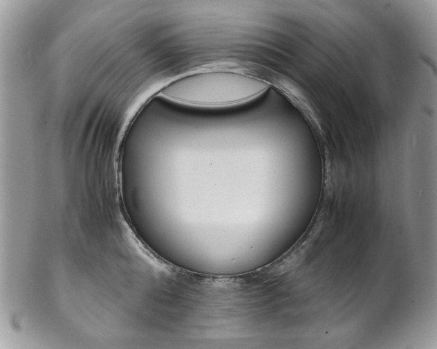 X0000102840808200808181023