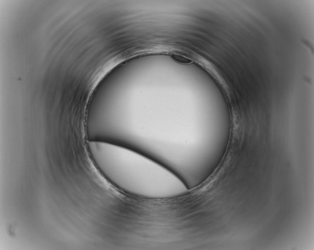 X0000102840810200808181023