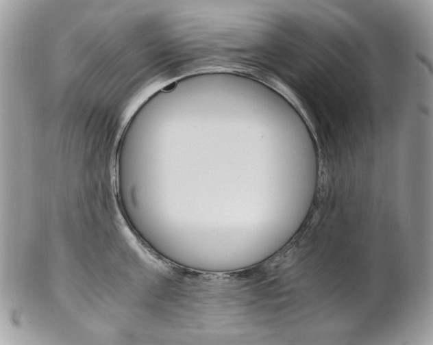 X0000102840811200808181023