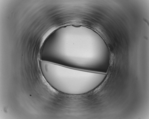 X0000102840812200808181023