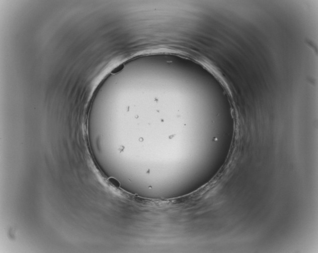 X0000102840813200808181023