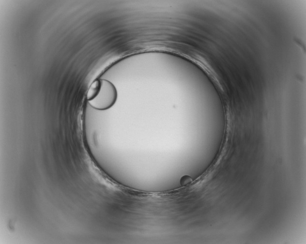 X0000102840814200808181023