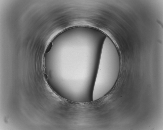 X0000102840815200808181023
