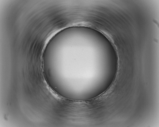 X0000102840816200808181023