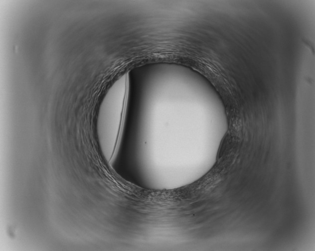X0000102840817200808181023