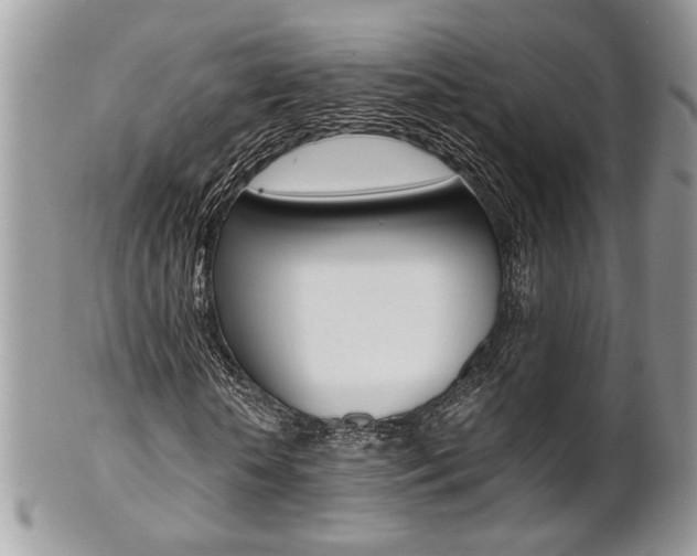 X0000102840818200808181023