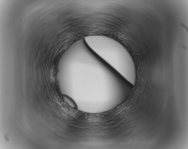 X0000102840819200808181023